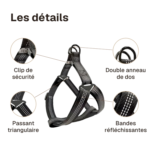 Les détails du harnais chien Y noir : double anneau de dos, clip de sécurité, passant triangulaire, bandes réfléchissantes