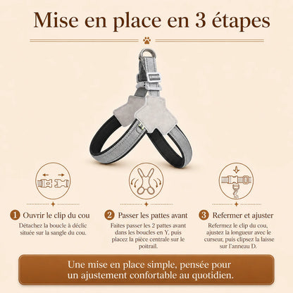 harnais chien noir reflechissant mise en place 3 etapes