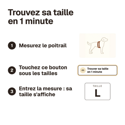 Trouvez la taille du harnais chien Y noir en 1 minute : mesurez le poitrail, le calculateur affiche la taille