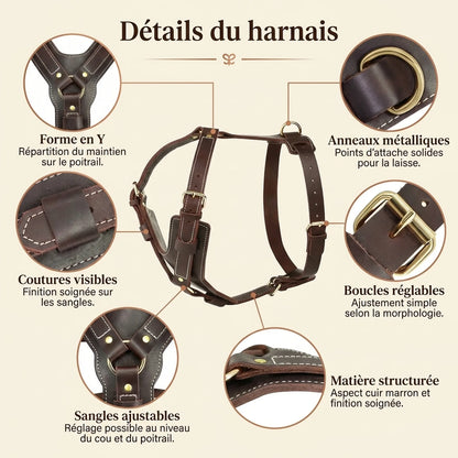 Harnais Chien Poignee Cuir - detail caracteristiques zooms v2