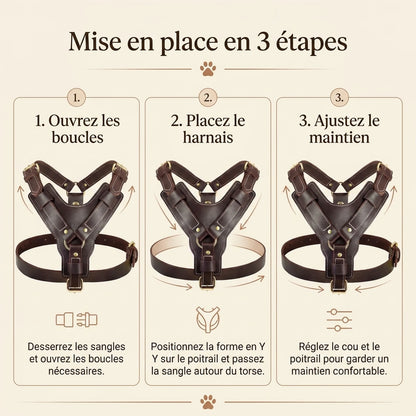 Harnais Chien Poignee Cuir - mise en place 3 etapes