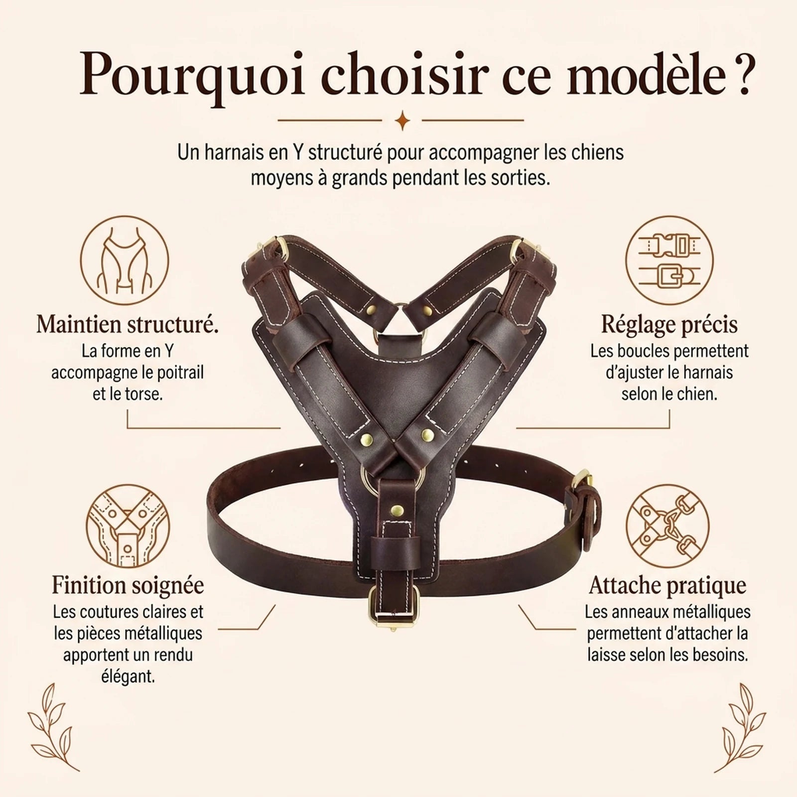 Harnais Chien Poignee Cuir - pourquoi choisir ce modele v2