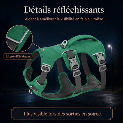 harnais chien poignee maintien renforce bandes reflechissantes