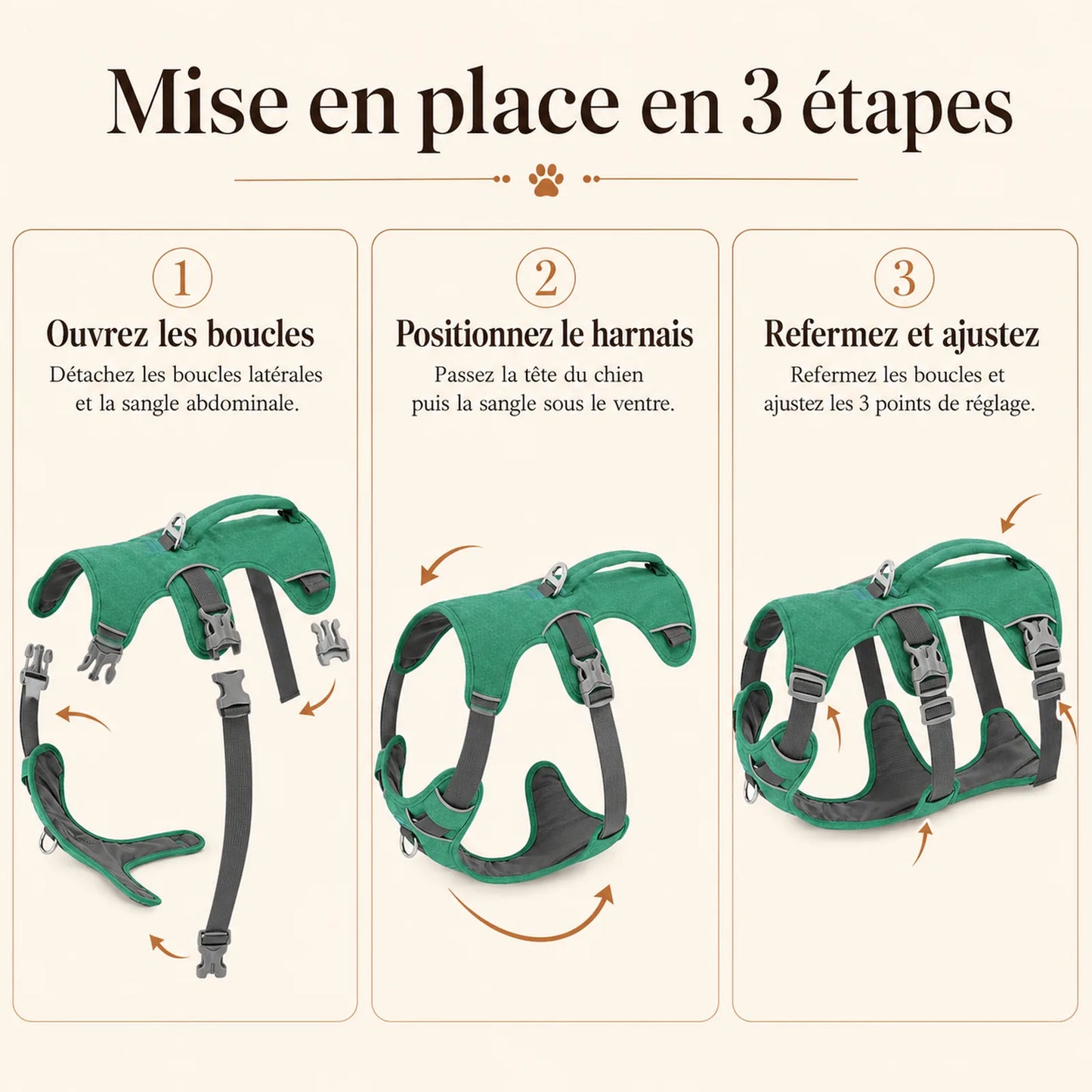 harnais chien poignee maintien renforce mise en place 3 etapes