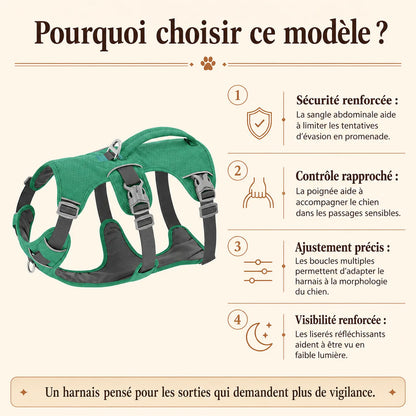 harnais chien poignee maintien renforce pourquoi choisir ce modele
