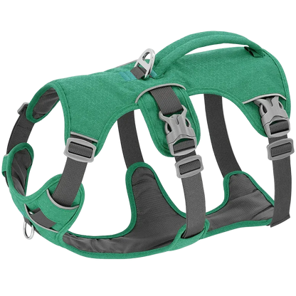 Harnais Chien Poignée Maintien Renforcé coloris vert émeraude