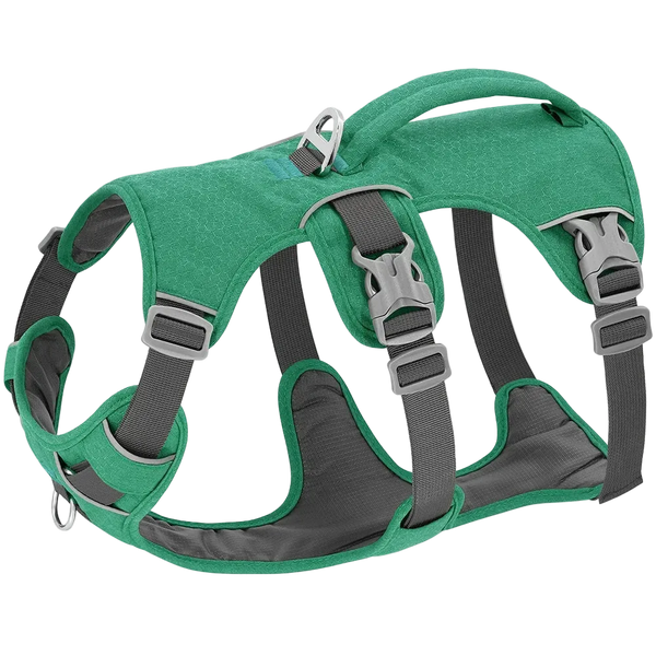 Harnais Chien Poignée Maintien Renforcé coloris vert émeraude