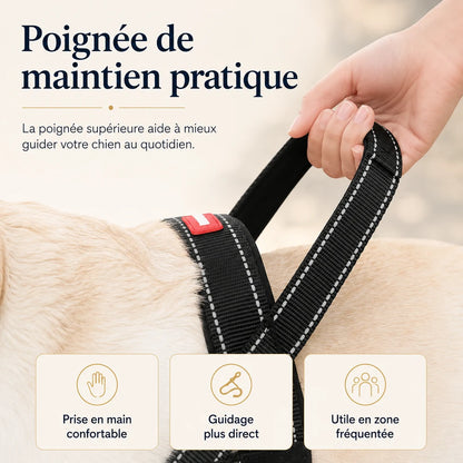 harnais-chien-poignee-maintien