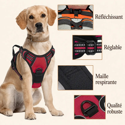 Harnais Chien Poignée Polyvalent - Réfléchissant, réglable, maille respirante, qualité robuste