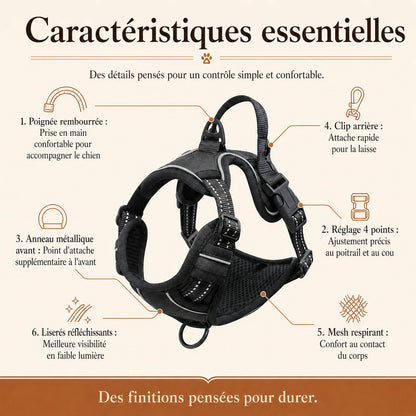harnais chien poignee polyvalent caracteristiques essentielles