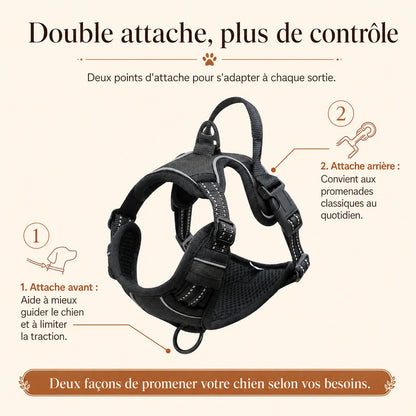 harnais chien poignee polyvalent double attache