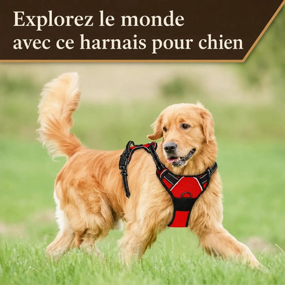 Harnais Chien Poignée Polyvalent - Explorez le monde