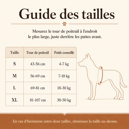 harnais chien poignee polyvalent guide des tailles