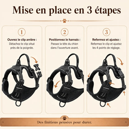 harnais chien poignee polyvalent mise en place 3 etapes