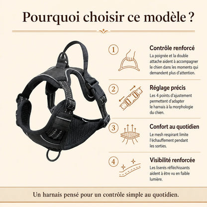 harnais chien poignee polyvalent pourquoi choisir ce modele