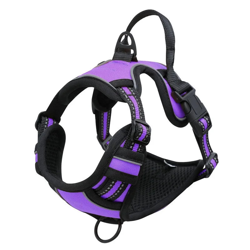 Harnais chien Poignée Polyvalent coloris violet