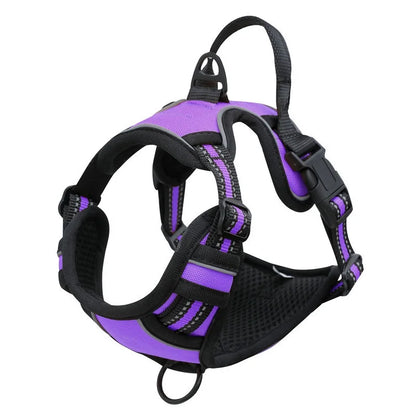 Harnais chien Poignée Polyvalent coloris violet