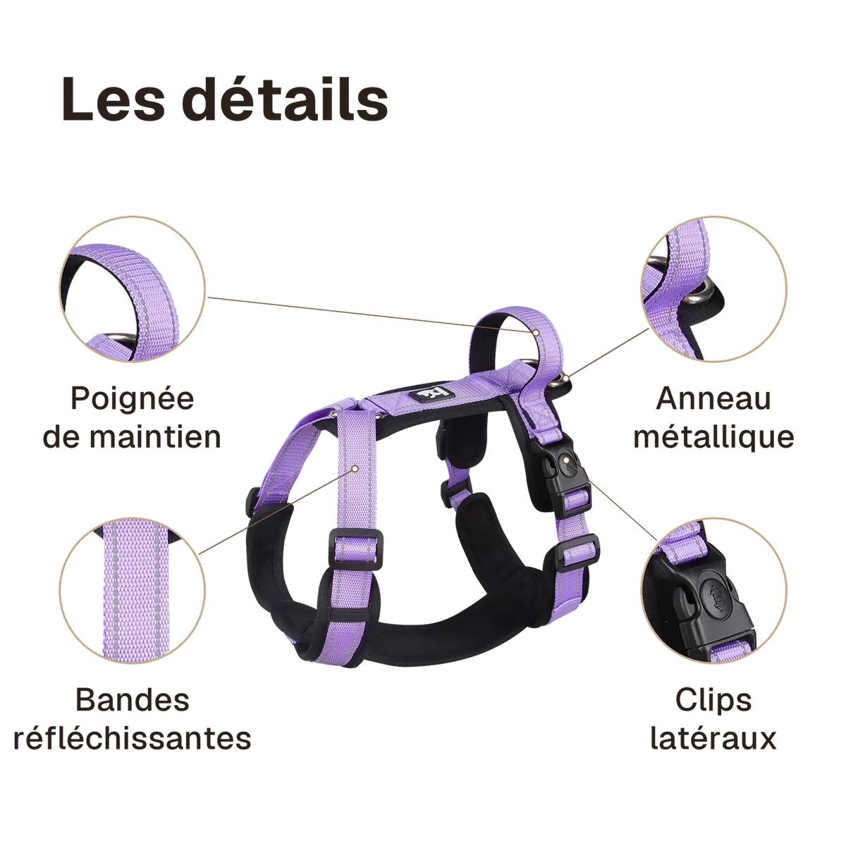 Les détails du harnais chien poignée réfléchissant : bandes réfléchissantes, poignée de maintien, anneau métallique, clips latéraux