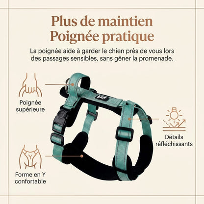Harnais Chien Poignée Réfléchissant - maintien confort