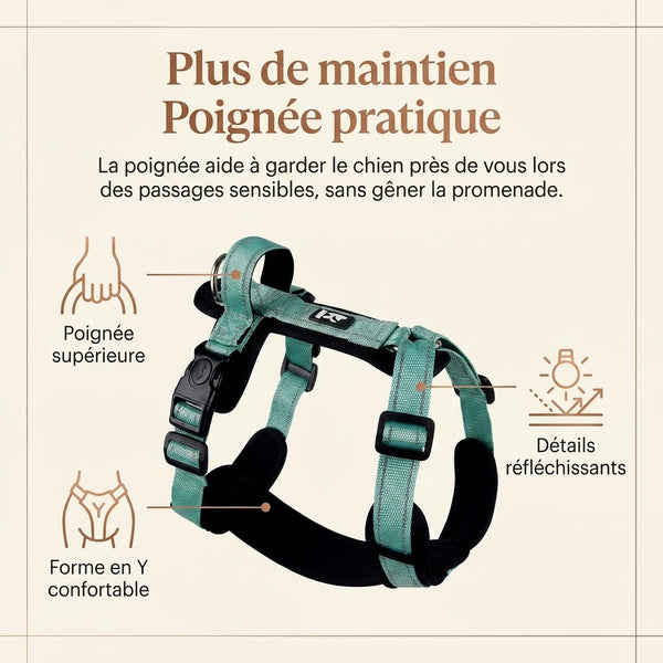 Harnais Chien Poignée Réfléchissant - maintien confort