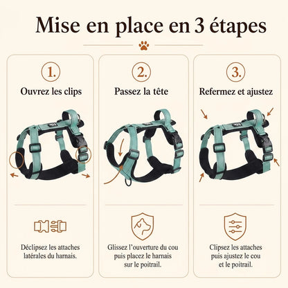 Harnais Chien Poignée Réfléchissant - mise en place 3 etapes