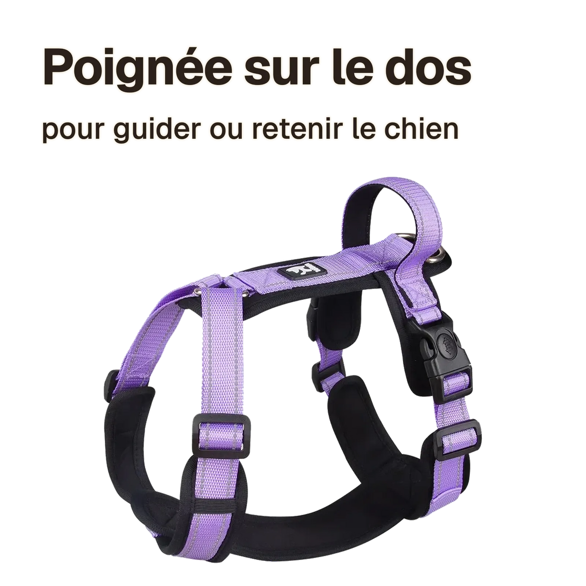 Harnais chien poignée réfléchissant violet : poignée sur le dos pour guider ou retenir le chien