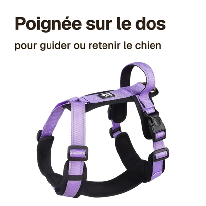 Harnais chien poignée réfléchissant violet : poignée sur le dos pour guider ou retenir le chien