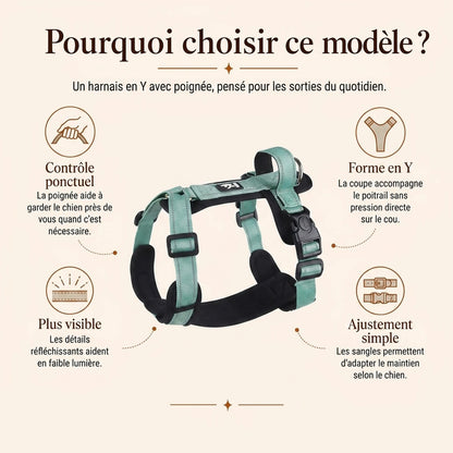 Harnais Chien Poignée Réfléchissant - pourquoi choisir ce modele