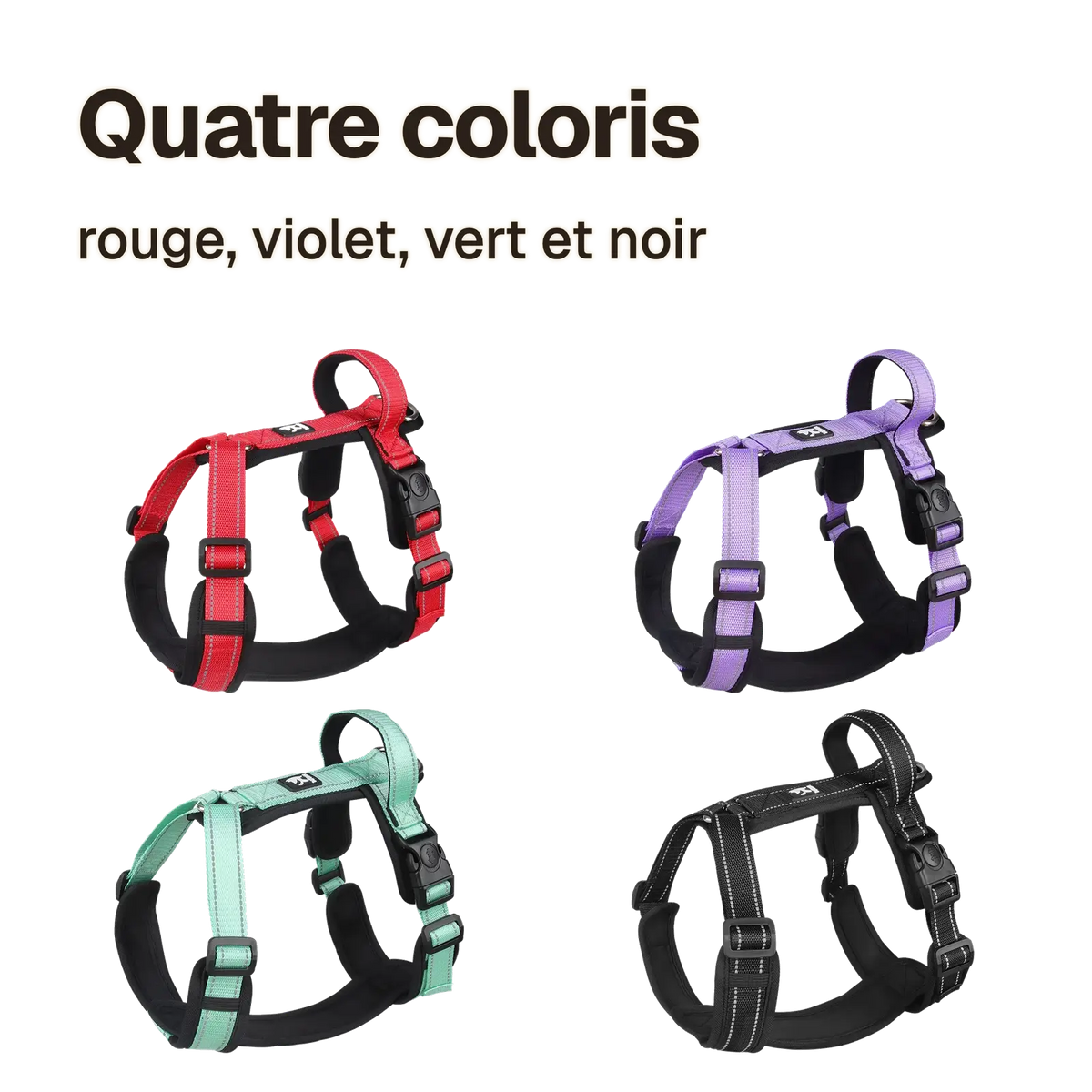 Harnais chien poignée réfléchissant en quatre coloris : rouge, violet, vert et noir