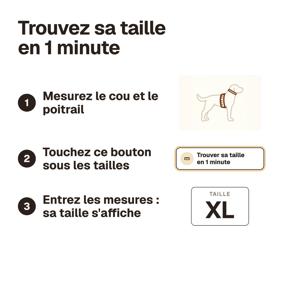 Harnais chien poignée réfléchissant : trouvez sa taille en 1 minute avec le calculateur du site