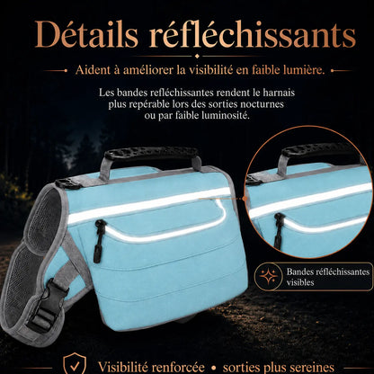 Harnais Randonnée Sacoche Bleu