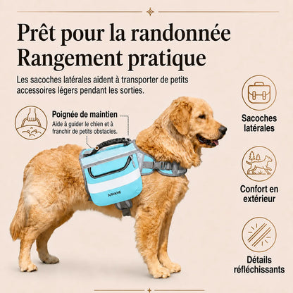 Harnais Randonnée Sacoche Bleu