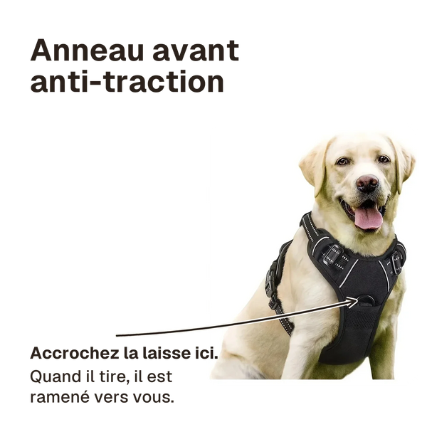 Harnais chien réfléchissant ajustable : accrochez la laisse à l'anneau avant, quand il tire le chien est ramené vers vous