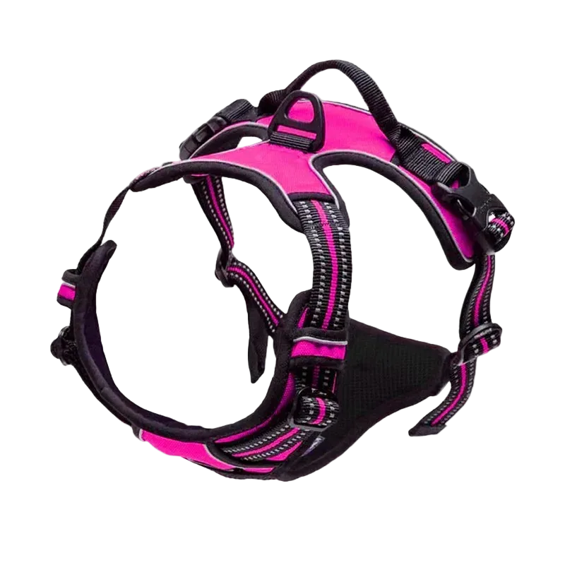 Harnais chien réfléchissant ajustable, coloris rose fuchsia