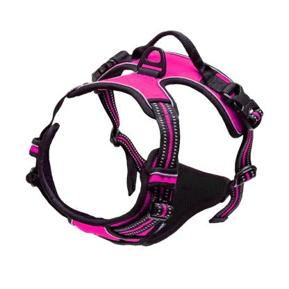 Harnais chien réfléchissant ajustable, coloris rose fuchsia