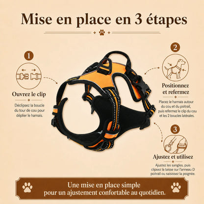 harnais chien reflechissant ajustable mise en place 3 etapes v2