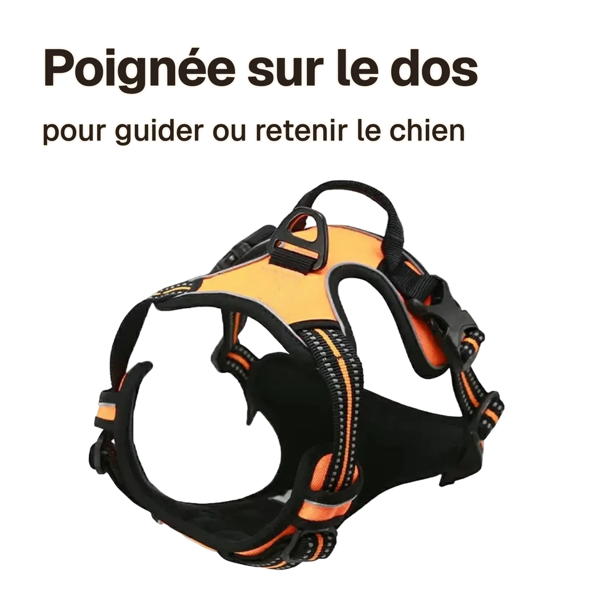 Harnais chien réfléchissant ajustable orange : poignée sur le dos pour guider ou retenir le chien