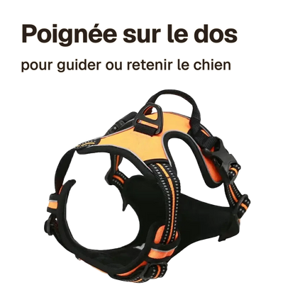 Harnais chien réfléchissant ajustable orange : poignée sur le dos pour guider ou retenir le chien