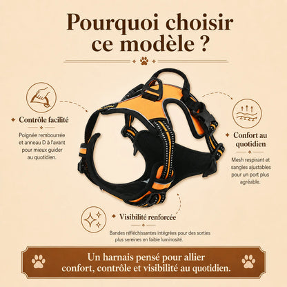 harnais chien reflechissant ajustable pourquoi choisir ce modele