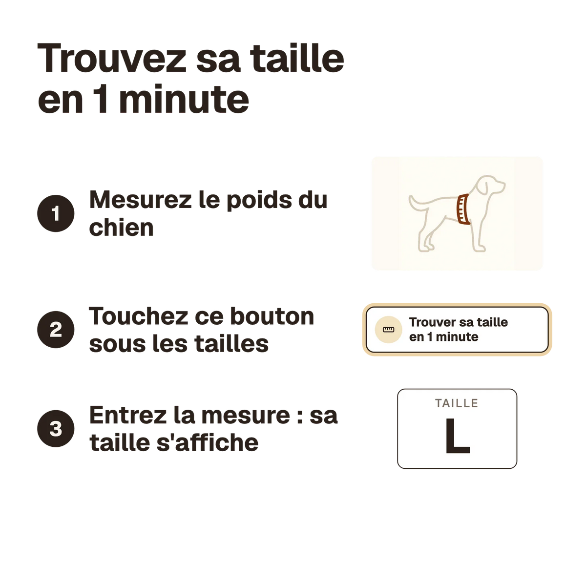 Harnais chien réfléchissant ajustable : trouvez sa taille en 1 minute avec le calculateur du site