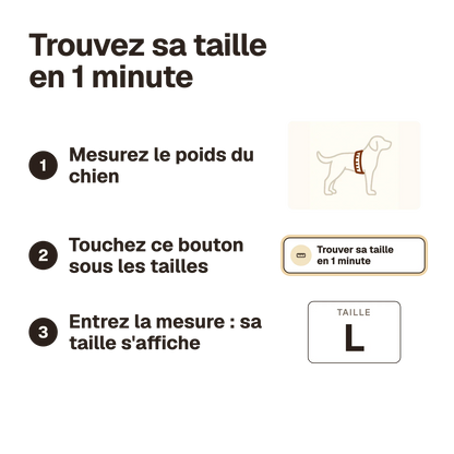 Harnais chien réfléchissant ajustable : trouvez sa taille en 1 minute avec le calculateur du site