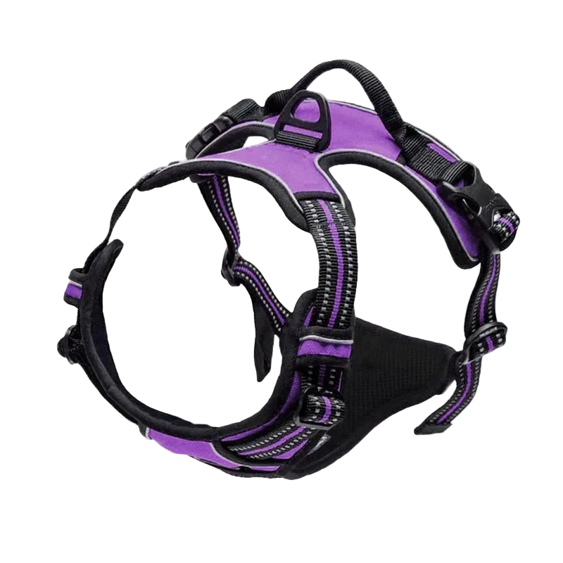 Harnais chien réfléchissant ajustable, coloris violet