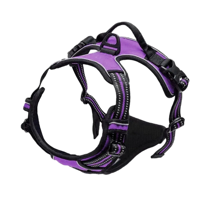 Harnais chien réfléchissant ajustable, coloris violet