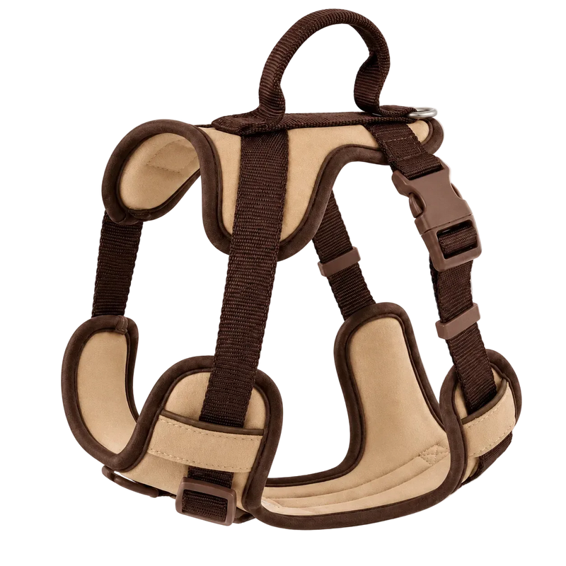 Harnais chien Anti Traction Original rembourré coloris café et beige