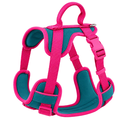 Harnais Chien Anti Traction Original – vue 13