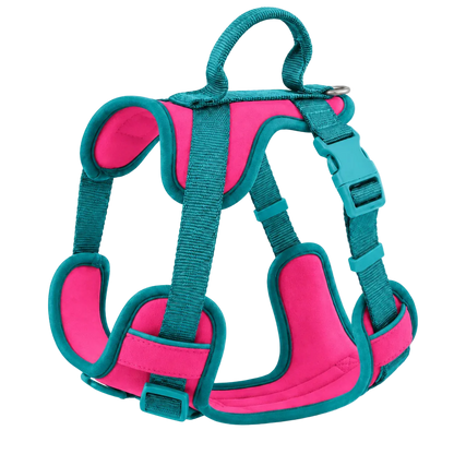 Harnais Chien Anti Traction Original – vue 12