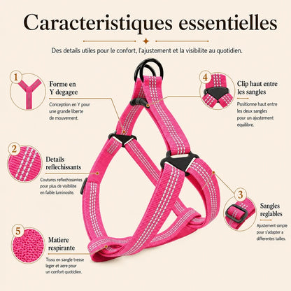 harnais chien rose caracteristiques essentielles