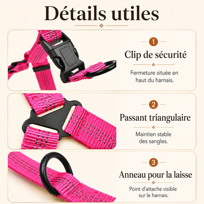 harnais chien rose detail clips anneaux