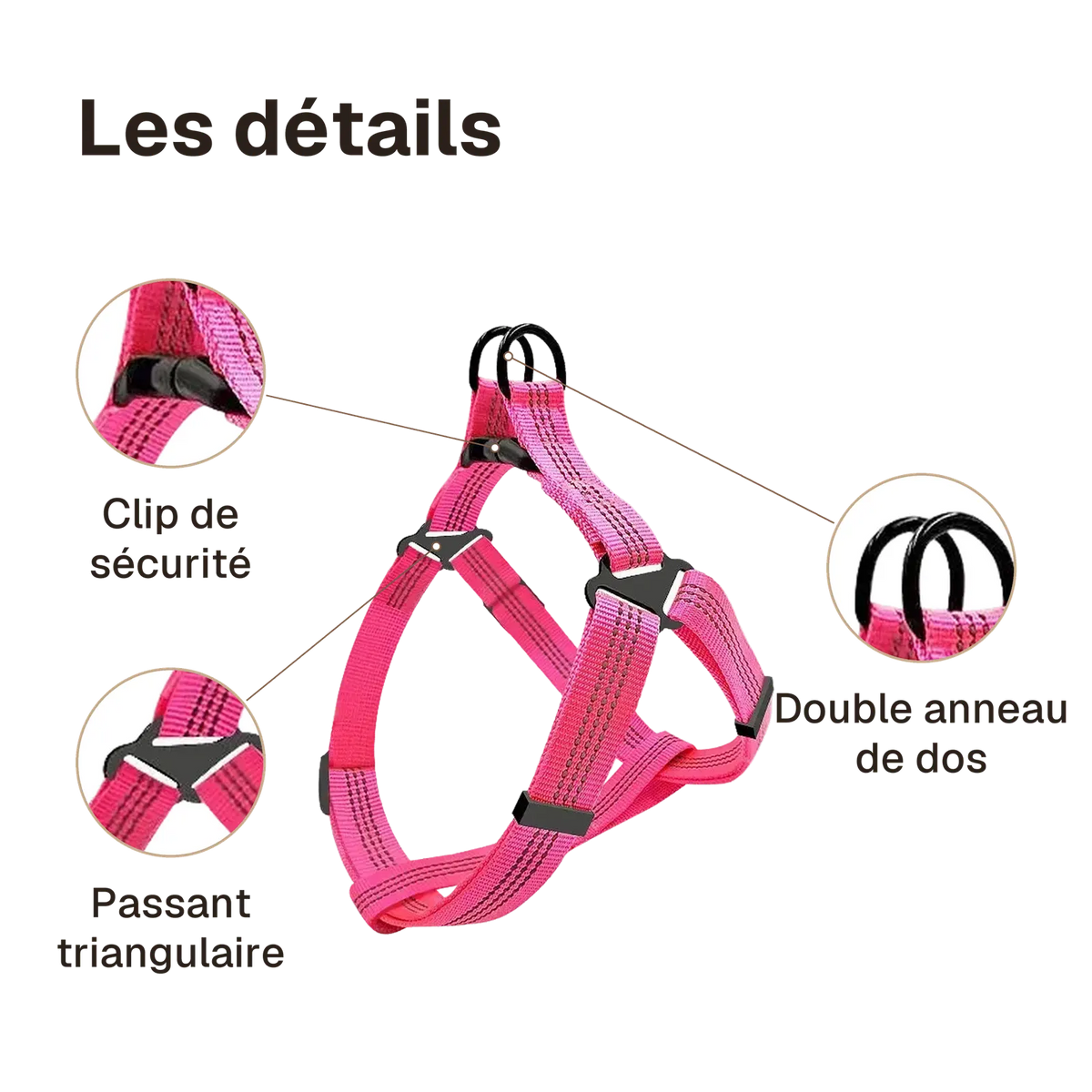 Les détails du harnais chien Y rose : clip de sécurité, passant triangulaire, double anneau de dos