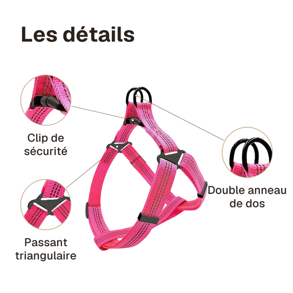 Les détails du harnais chien Y rose : clip de sécurité, passant triangulaire, double anneau de dos